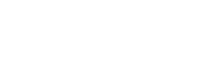 nap Logo